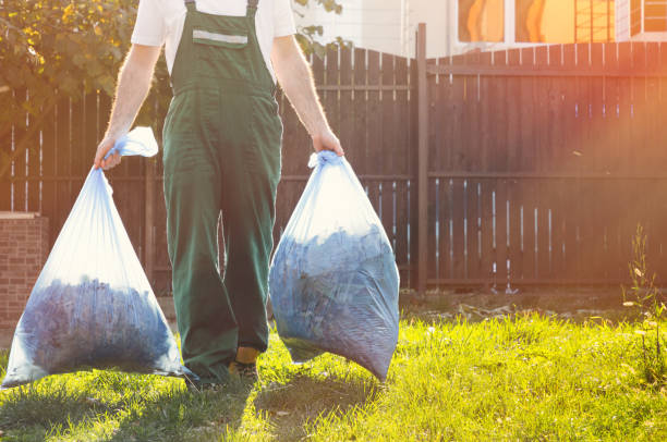 Best Same-Day Junk Removal  in Waverly, IA